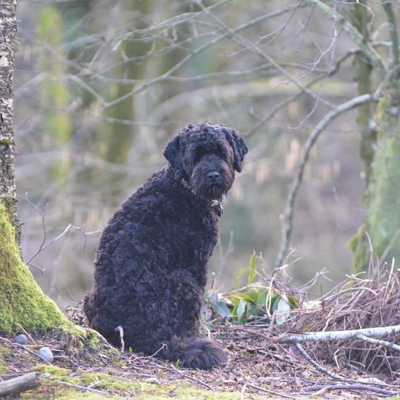 Meet your Posher, Janelle - Picture 1 of 1